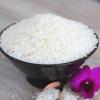 ข้าวของชาวนาเกษตร​โดยตรง ข้าวหอมมะลิสุรินทร์ 0912153525